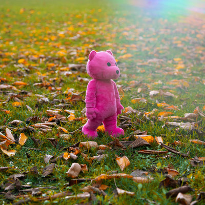 The Pink Bear Plush